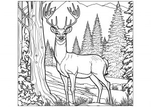 coloring-deer-forest-mountain