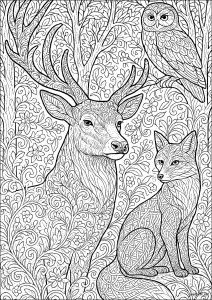 Enchanted encounter in a mysterious forest (Deer Coloring Page)