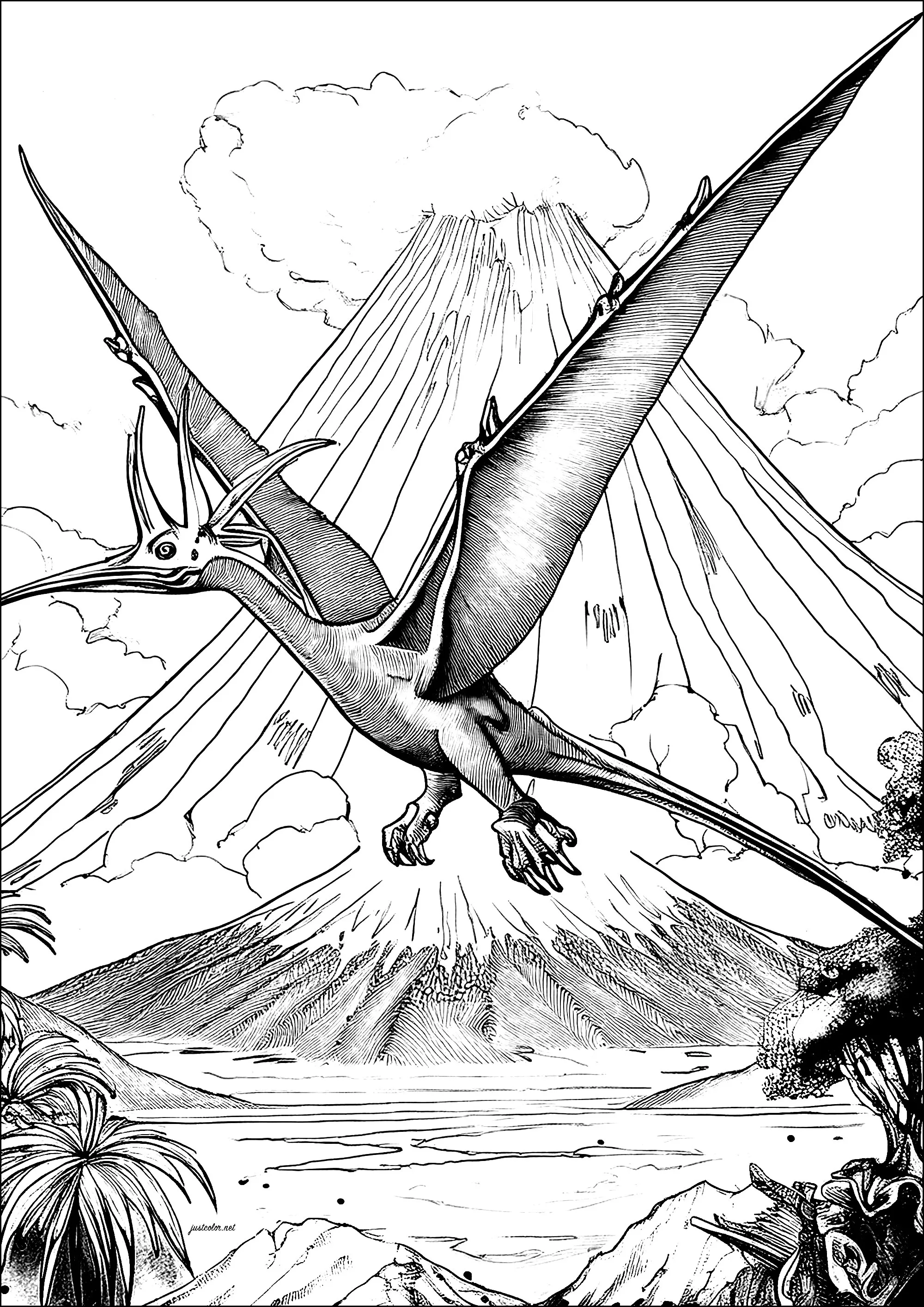 Large Pteranodon in front of an erupting volcano (Printable Dinosaur Coloring Page for adults)
