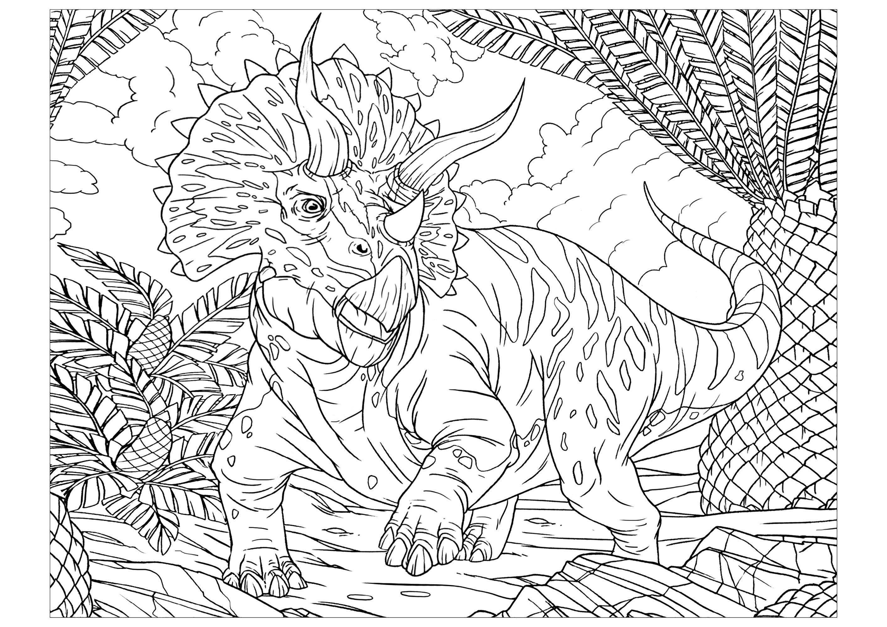 Coloring page of a Triceratops. The triceratops is one of the most famous dinosaurs of the prehistoric era. It could measure up to 9 meters in length. It lived at the end of the Maastrichtian, in the Upper Cretaceous, 68 to 66 million years ago, in what is now North America.