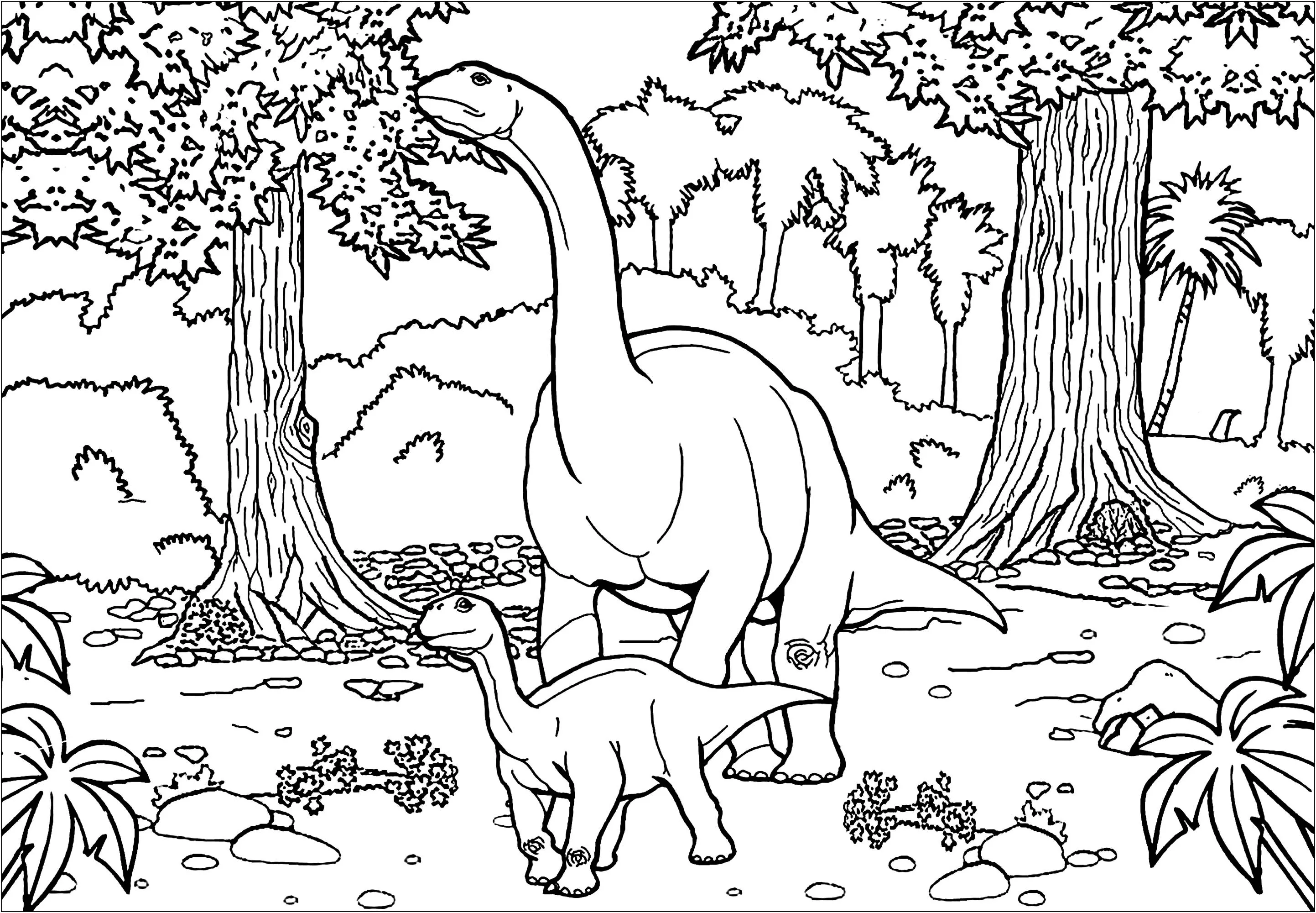 Two Diplodocus (Printable Dinosaur Coloring Page for adults)