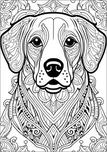 Dog with nice patterns