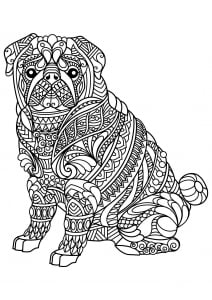 Sitting bulldog and pretty patterns