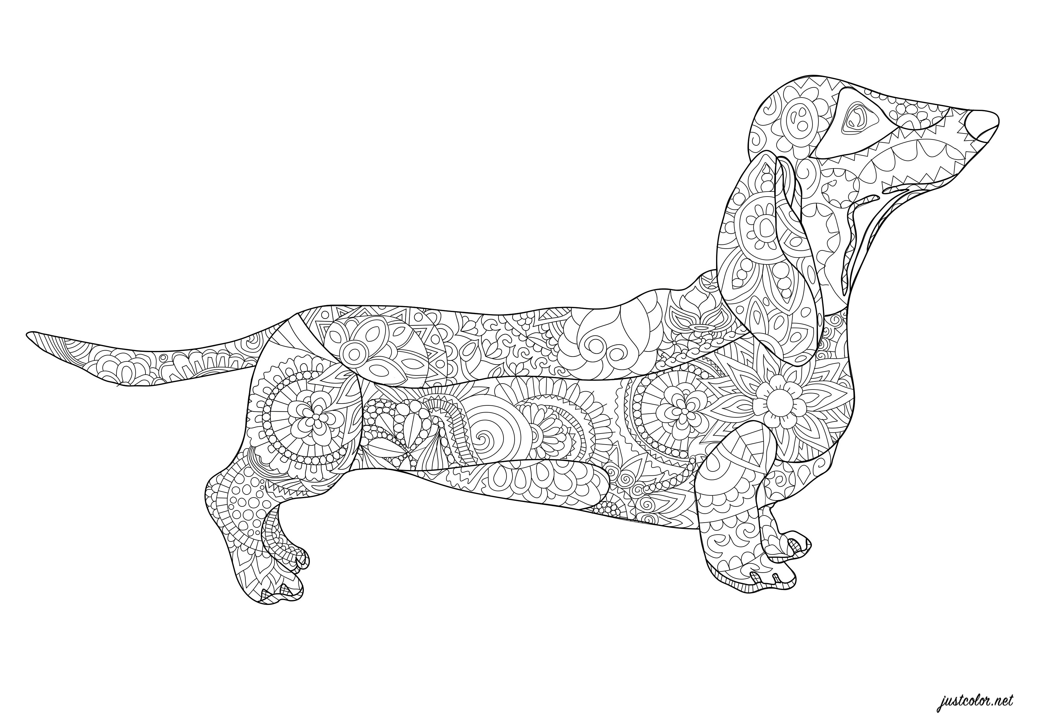 Dachshunds are low-legged dogs with elongated bodies. Despite their short limbs, Dachshunds are remarkably lively and agile. He's a delightful pet. You'll be able to color it 'mandala-style' in a zen spirit!, Artist : Morgan