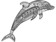 Dolphins Coloring Pages for Adults