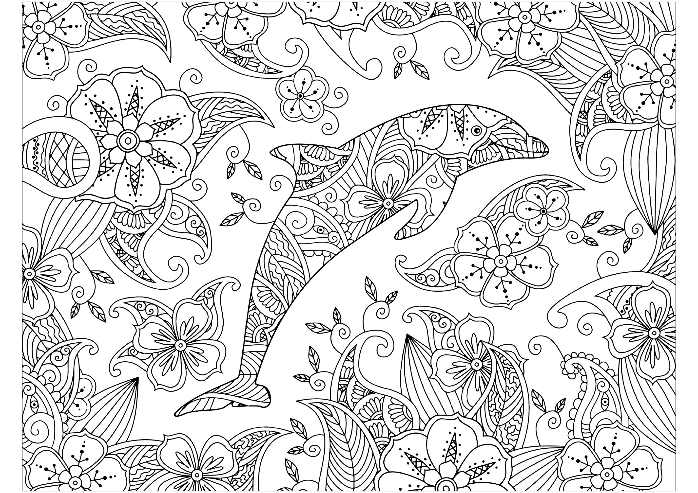 Coloring page of a dolphin on a wonderful floral background, Source : 123rf   Artist : verock42