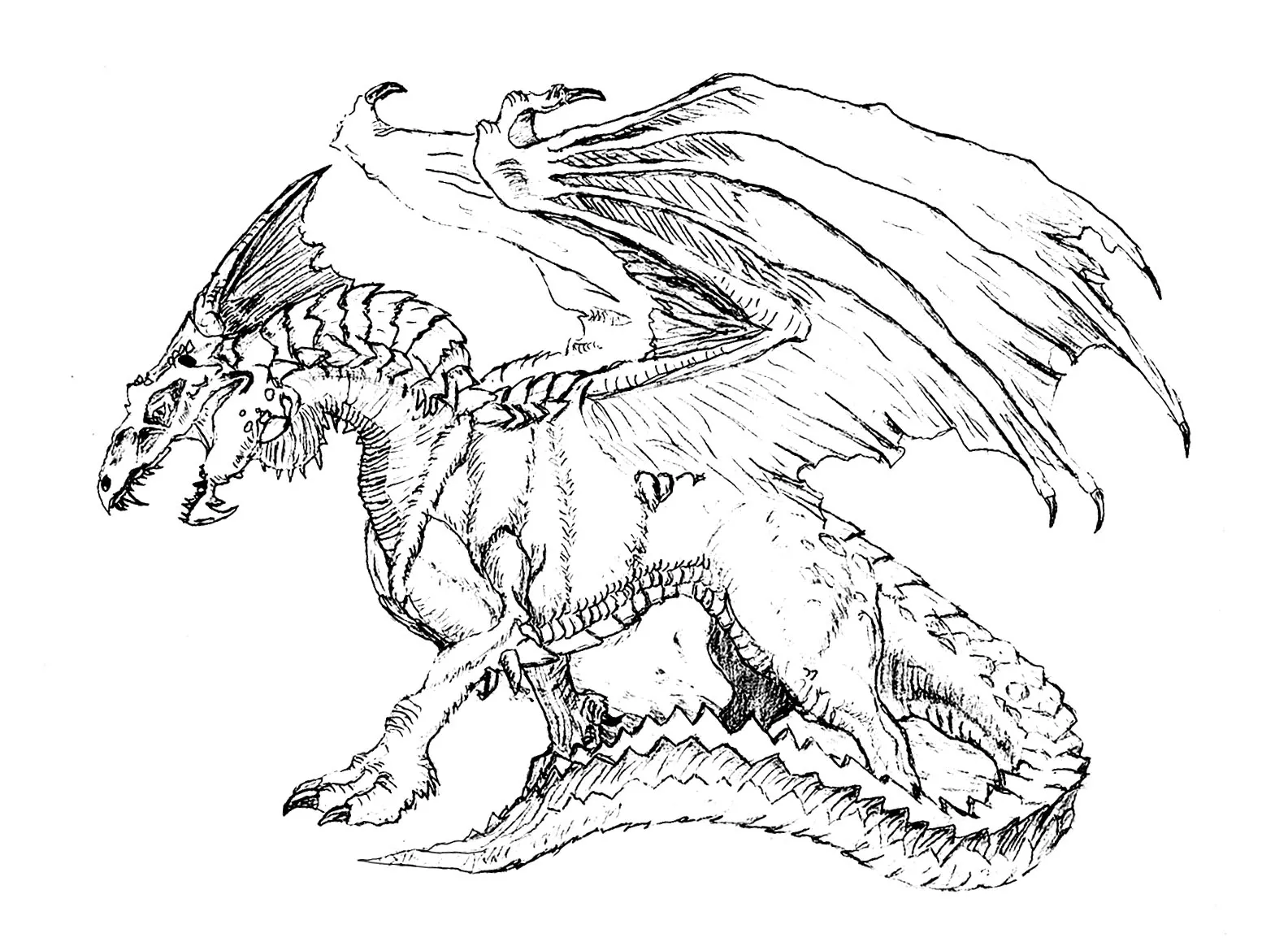 Scary dragon (Printable Coloring Page for adults)