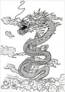 Adult Dragon Asian Inspiration
