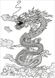 Adult dragon asian inspiration