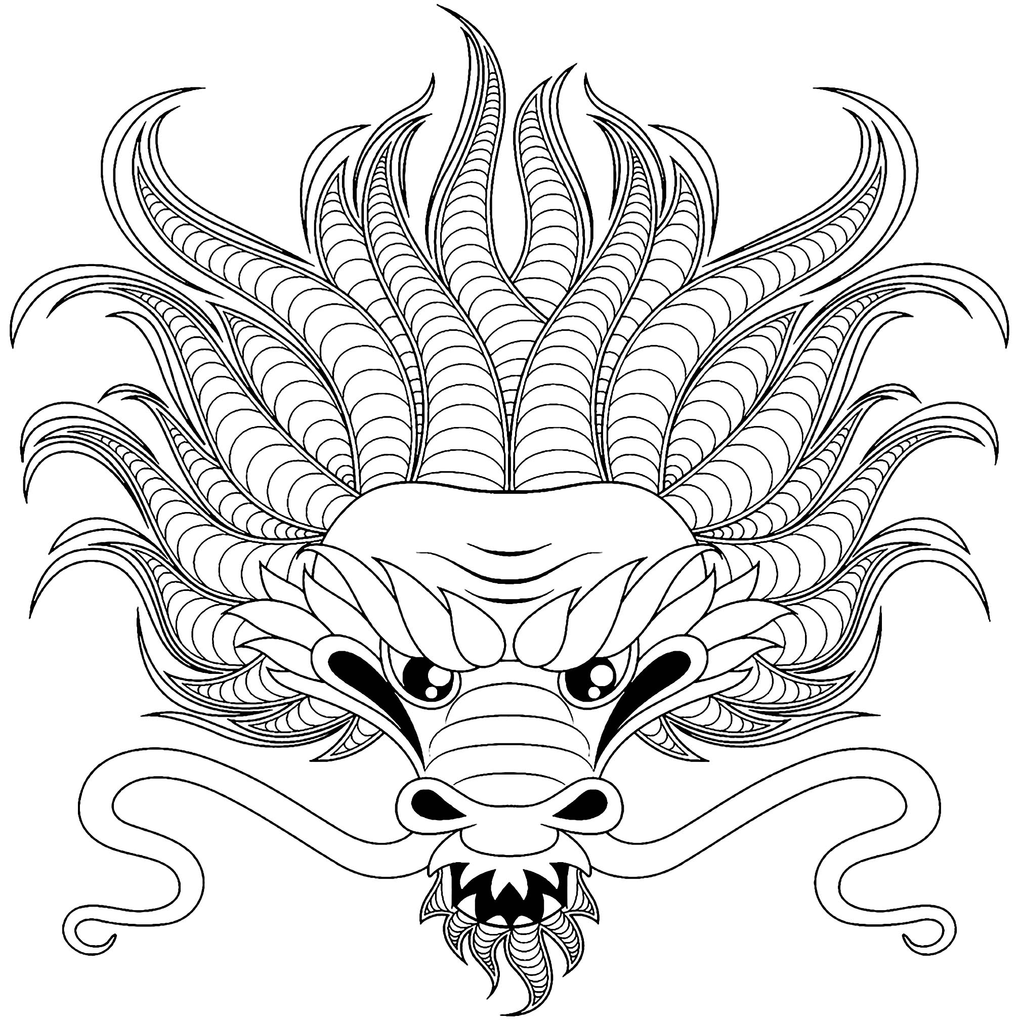 Dragon head Dragons Adult Coloring Pages