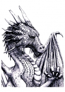 dragons coloring pages for adults