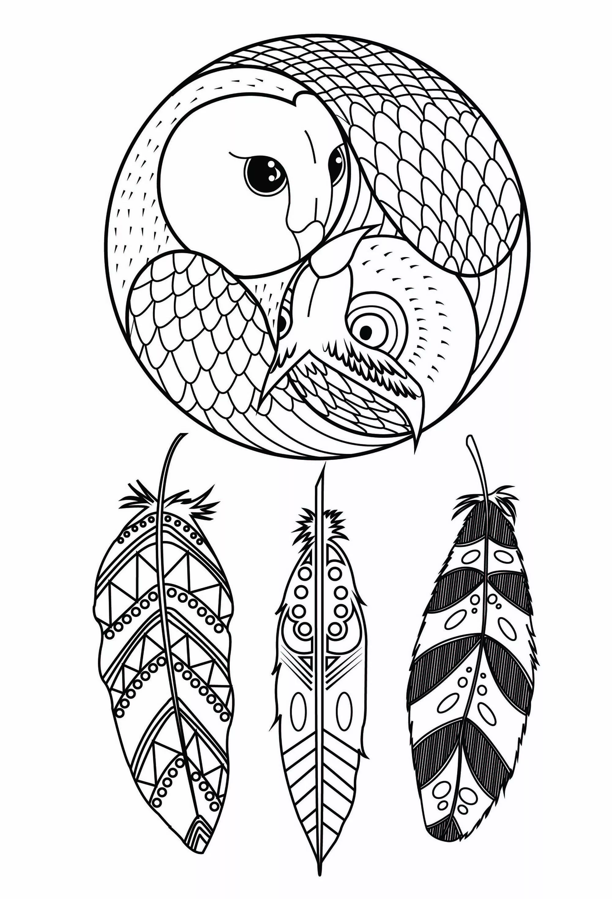 Owl dreamcatcher (Printable Coloring Page for adults)