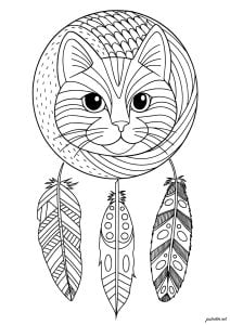 Feline charm with delicate feathers