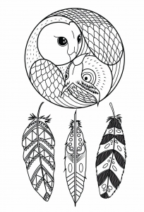 Coloring owl dreamcatcher