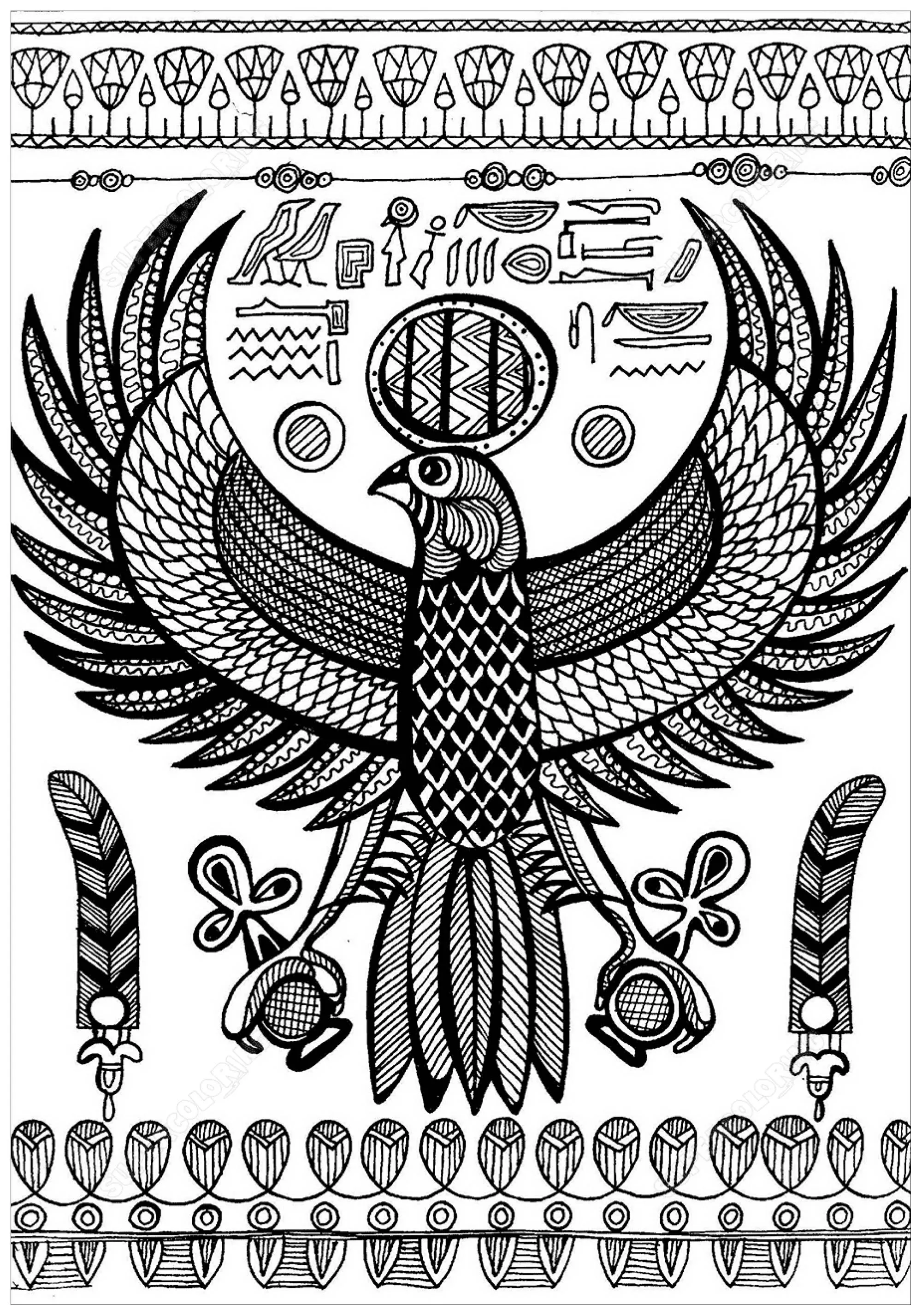 Horus ancient egyptian god depicted as falcon (Printable Egypt & Hieroglyph Coloring Page for adults)
