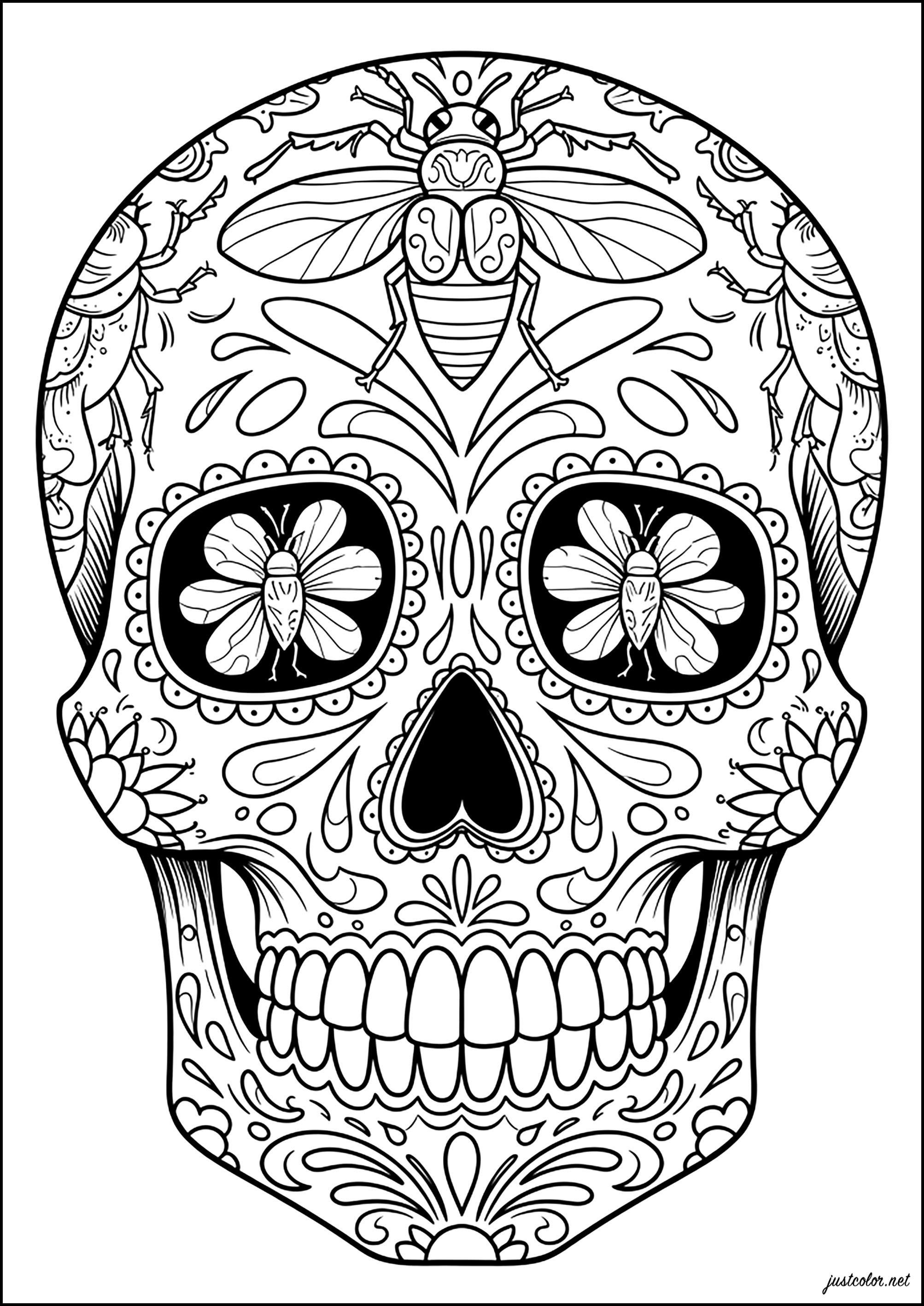Skull with abstract motifs and moth (Printable El Día de los Muertos Coloring Page for adults)