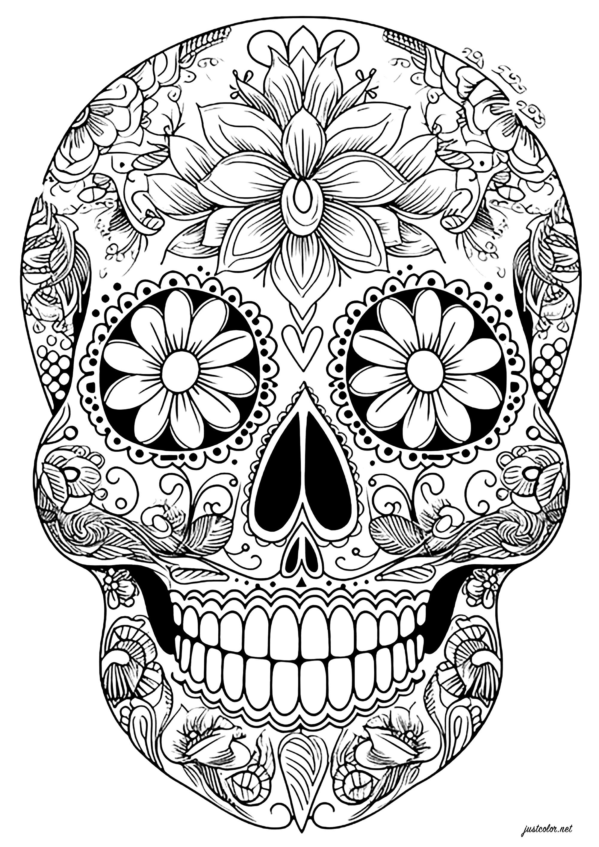 D a De Los Muertos Skull Elegant Floral Motifs El D a De Los