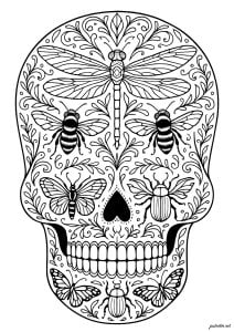 Face with fairy and mystical insects