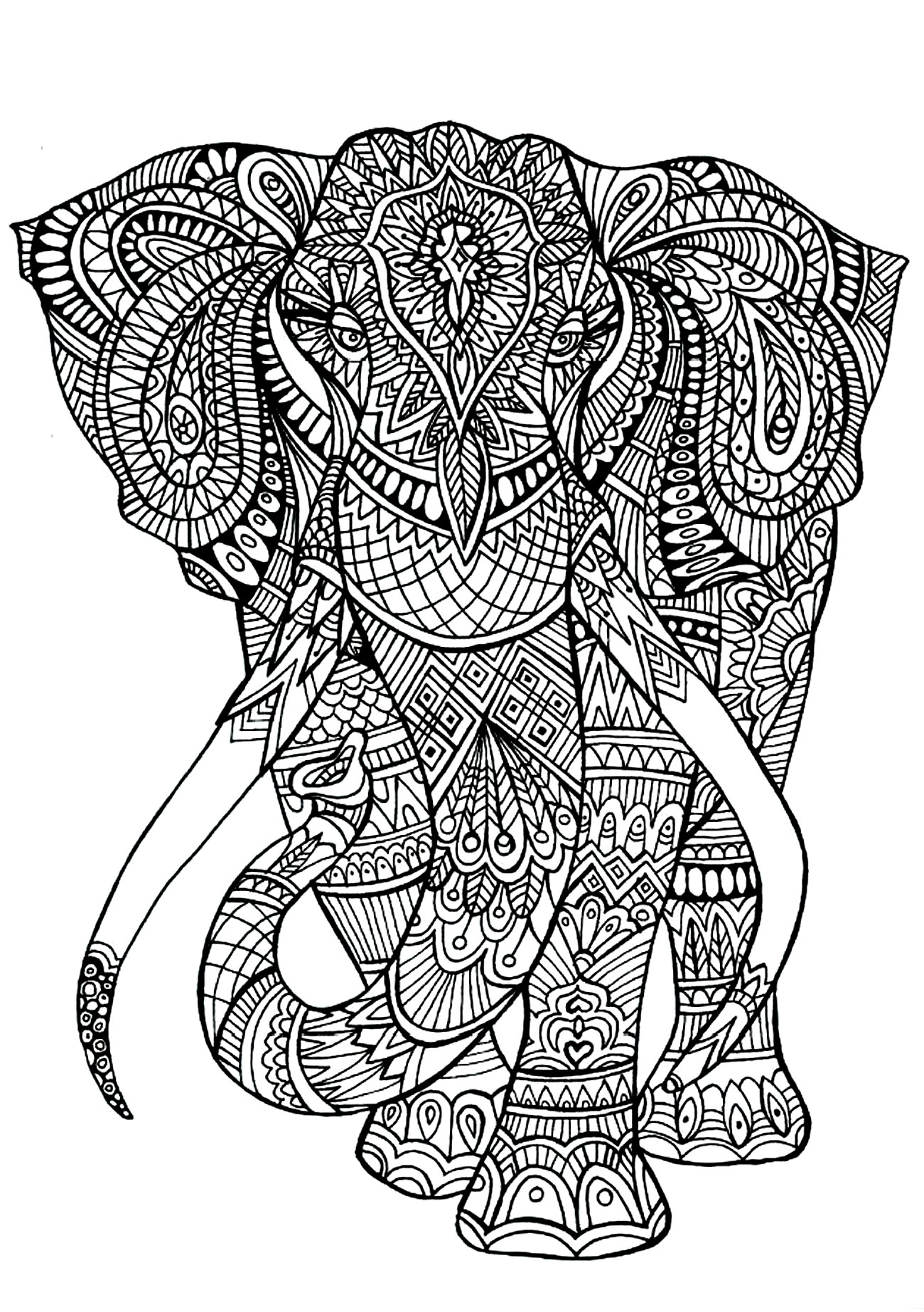 coloring adult elephant patterns