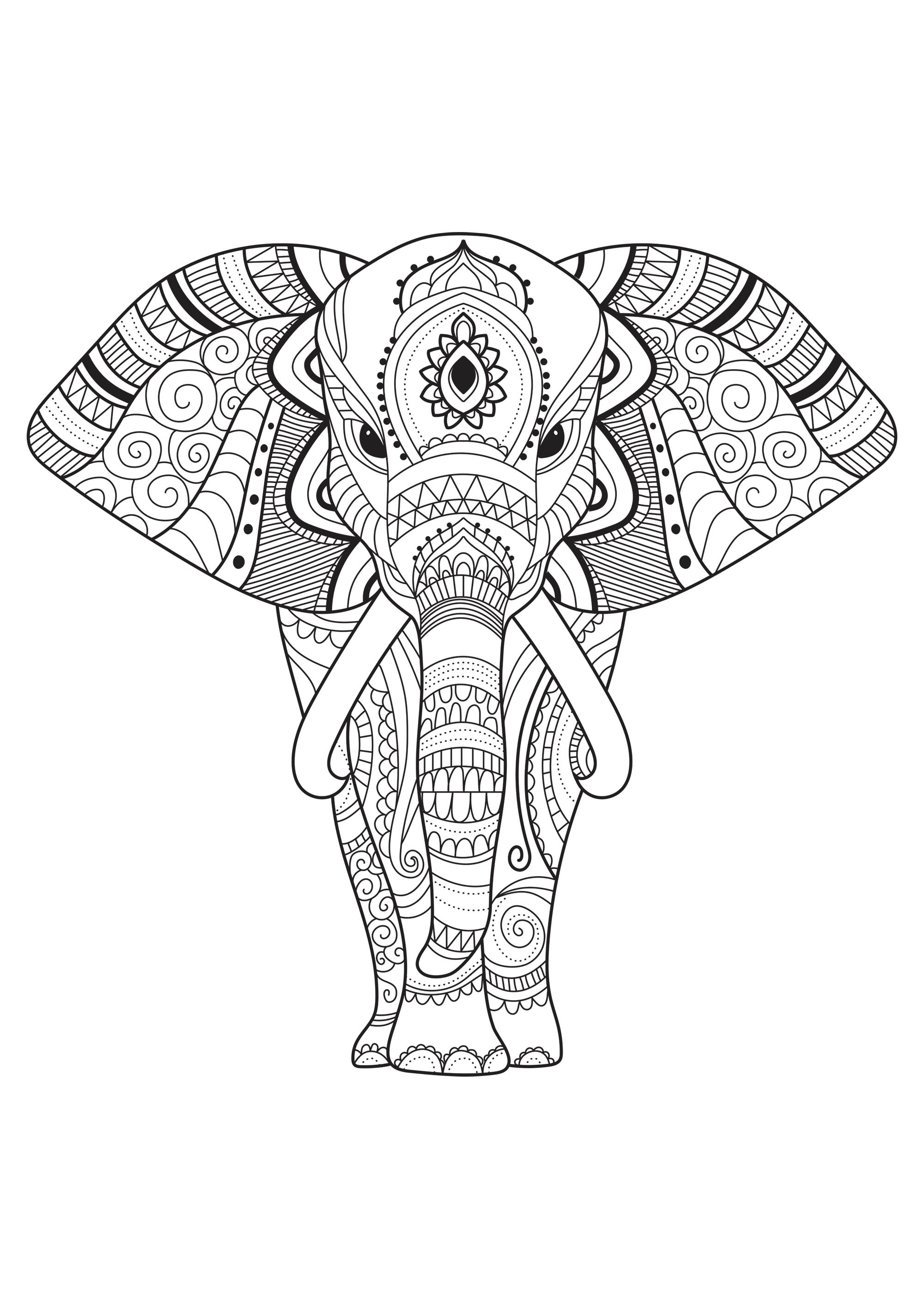 Elephant with simple patterns - Elephants Adult Coloring Pages