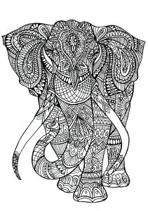 Elephant patterns