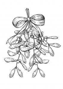 Christmas Mistletoe