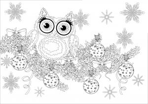 coloring-christmas-owl-on-a-branch-without-text