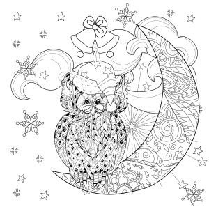 Coloring christmas owl on moon