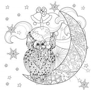 Owl on a quarter moon (Christmas Coloring Page)