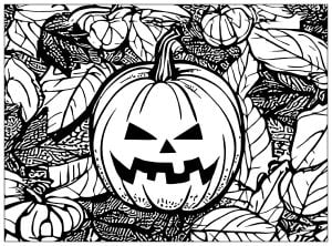 Jack O' Lantern Pumpkin On Leaf Filled Background