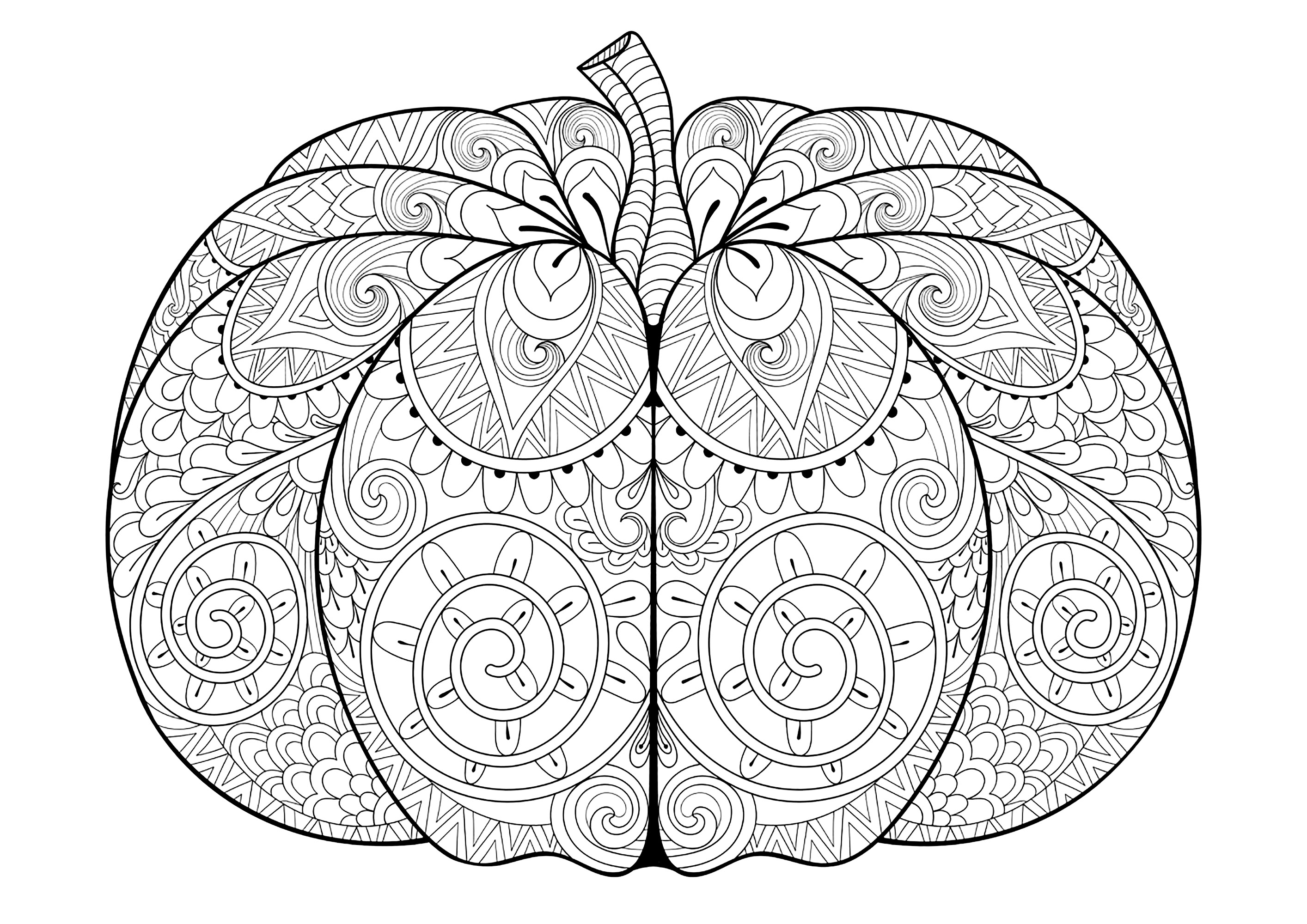 Large Halloween pumpkin. Color all the intricate and varied pumpkin patterns, Source : 123rf   Artist : Ipanki