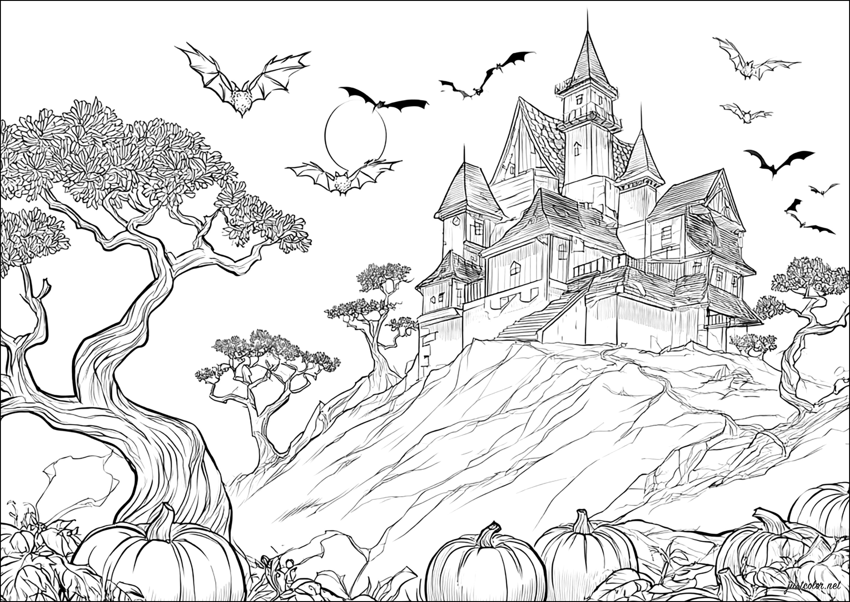 Mysterious castle under a full moon (Printable Halloween Coloring Page for adults)