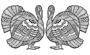 Double Turkey Zentangle Coloring sheet