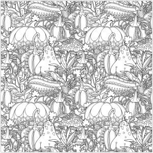 Printable Coloring Page for adults : Thanksgiving pumpkin with flowers