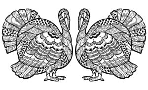 Thanksgiving : Double Turkey Zentangle Coloring sheet