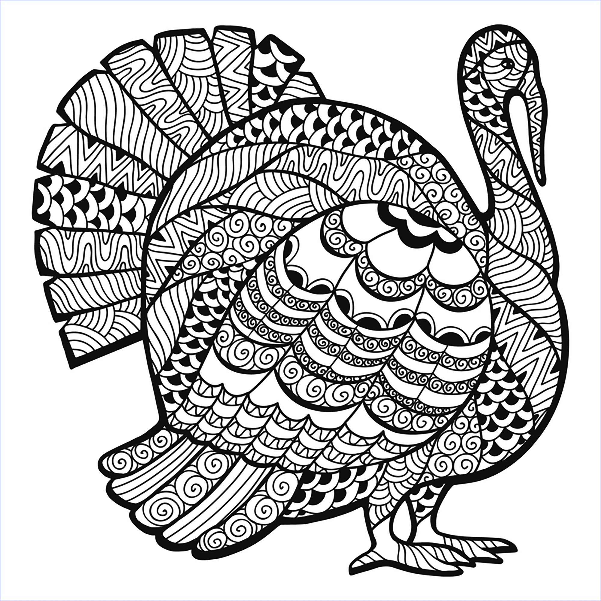 Turkey Zentangle Coloring Sheet Thanksgiving Adult Coloring Pages