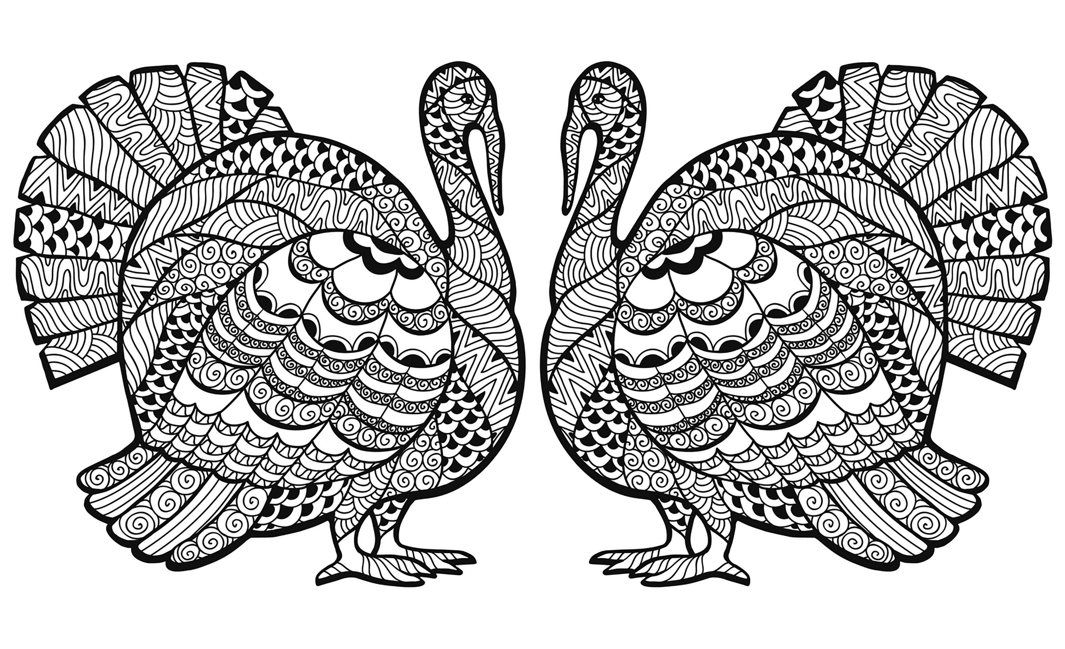 A double Zentangled Turkey, to color for the Thanksgiving day !, Artist : lena-Medvedeva   Source : Dreamstime