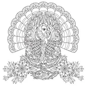Thanksgiving turkey