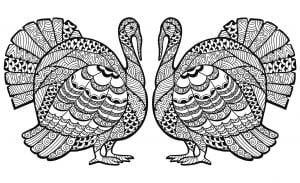 Double Turkey Zentangle Coloring sheet (Thanksgiving Coloring Page)