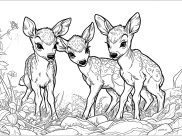 Fawns Coloring Pages
