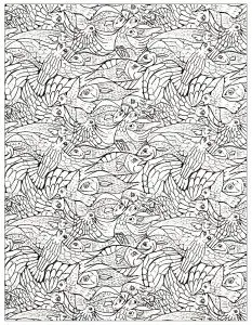 Lots of fish to color