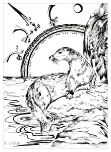 The Otter
