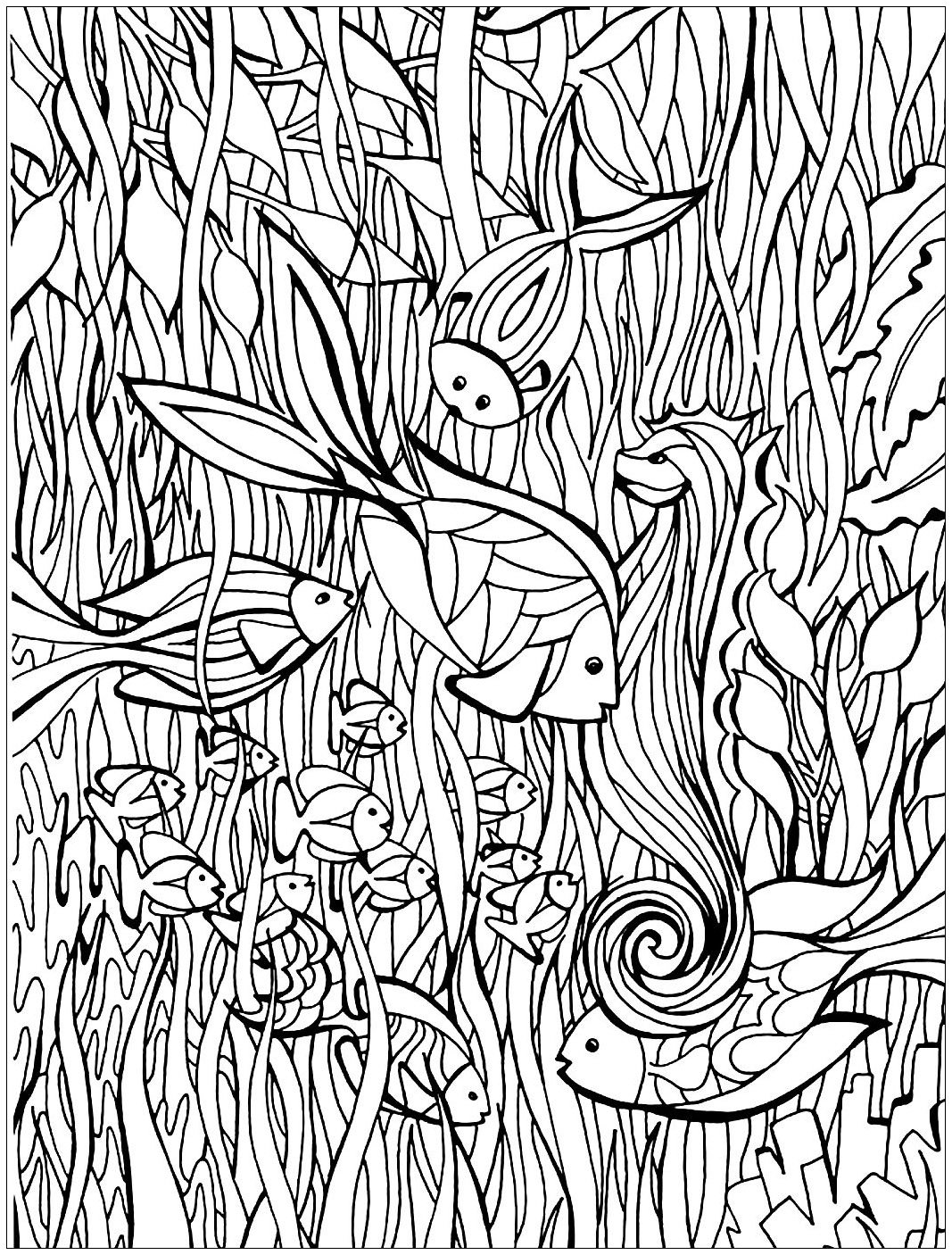 Fishes in the see : beautiful drawing to color