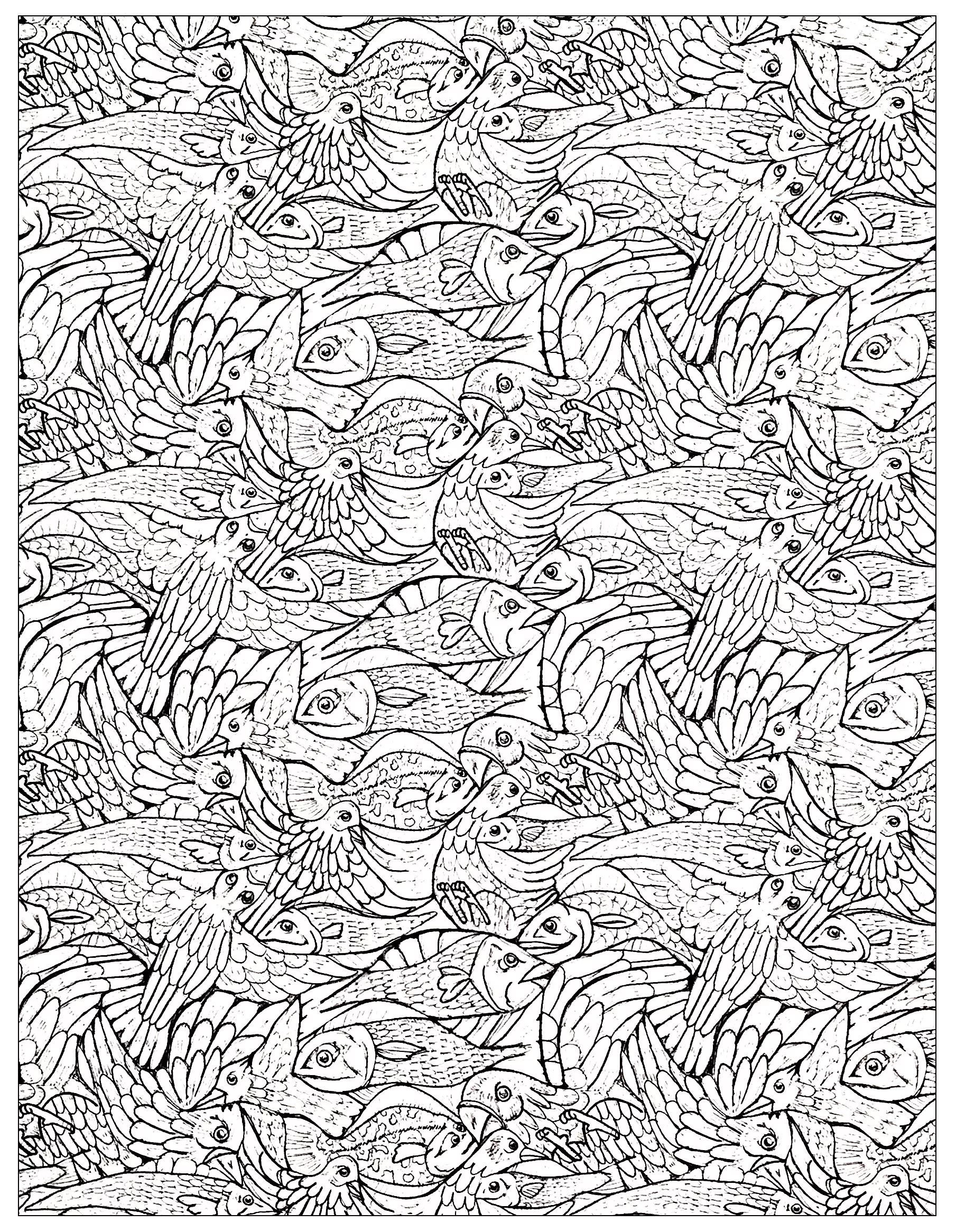 Lots of fish to color