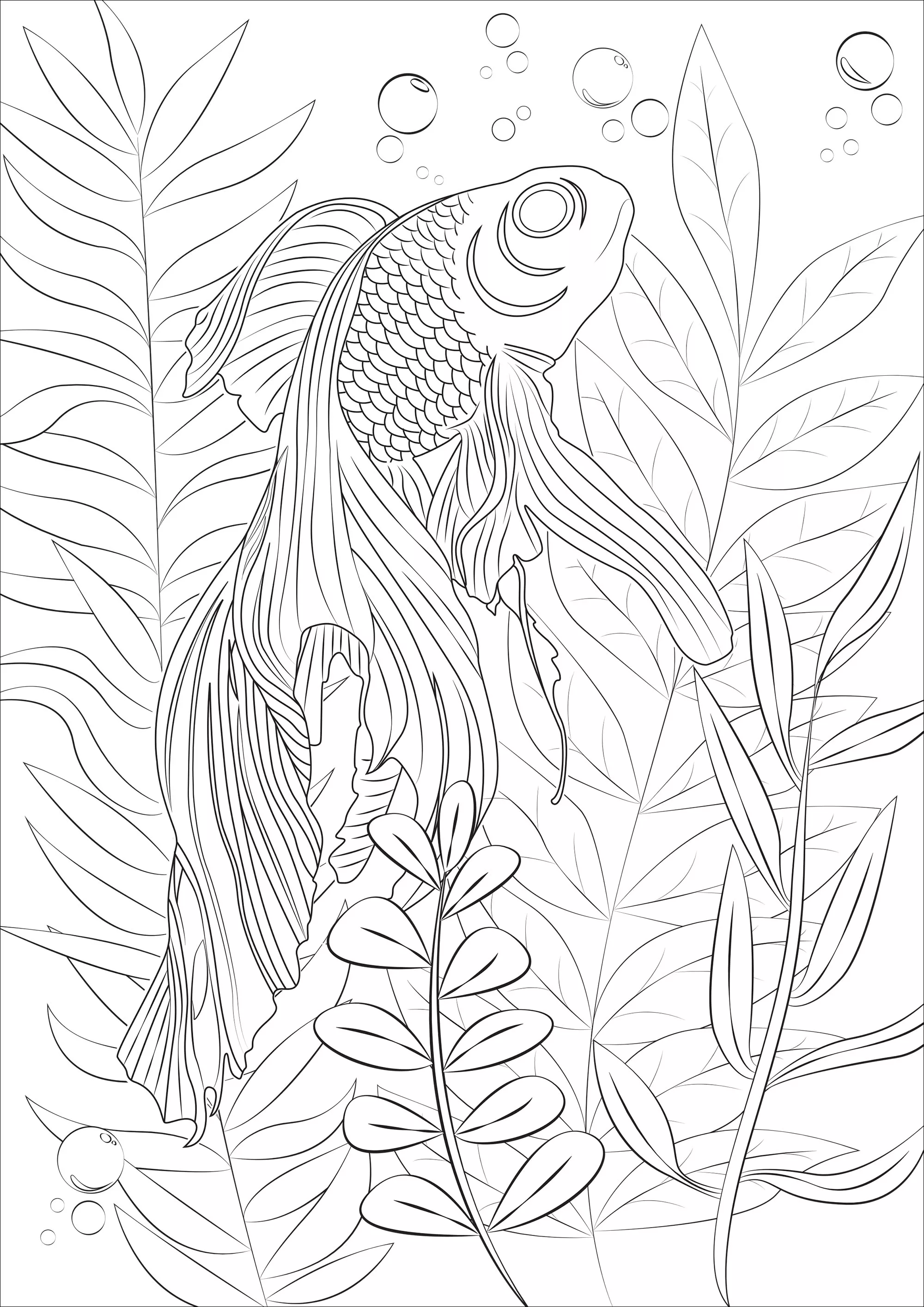 Goldfish in his natural setting (Printable Fish Coloring Page for adults)