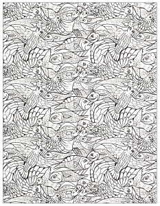 coloring-adult-fishes-1