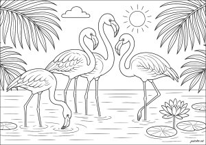 Elegance of the Flamingos