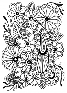 coloring-adult-flowers-paisley