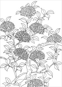 Coloring page flowered tree