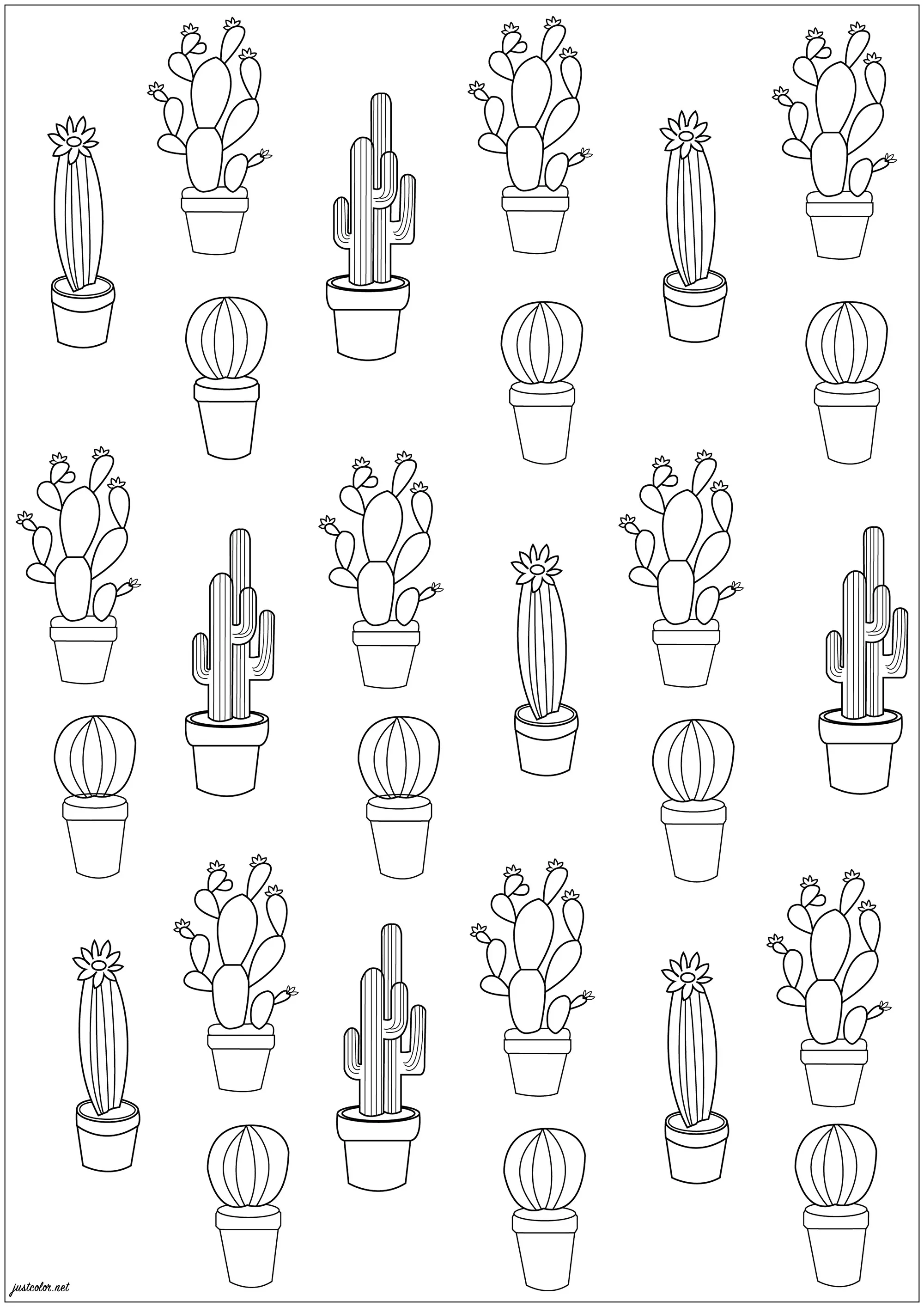 27 Cactus (Printable Flowers & vegetation Coloring Page for adults)